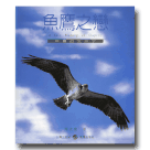 鳥類/ 魚鷹之戀-魚鷹的生活史