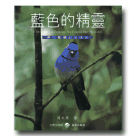 鳥類/ 藍色的精靈-黑枕藍鶲的生活史