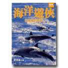 海洋遊俠：台灣尾的鯨豚
