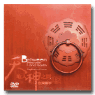 天地人神之間：台灣廟宇 DVD