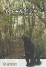 大雪山有熊森林 DVD