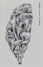 明信片/ 我的台灣植物系列-海芋16 (單張)