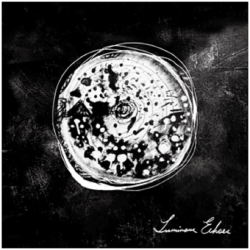微光回聲 Luminous Echoes (CD)