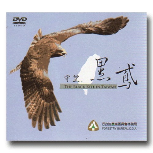 守望黑鳶（公播版DVD）