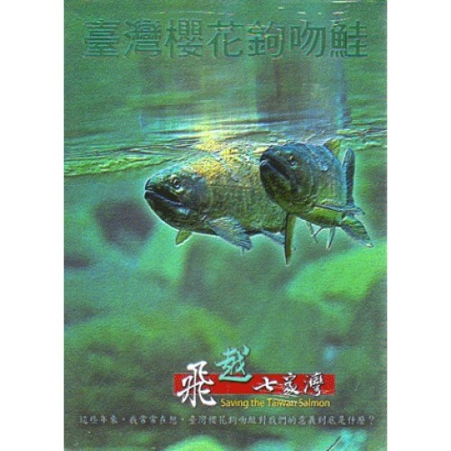 飛越七家灣溪（公播版DVD）