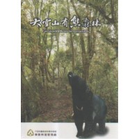 大雪山有熊森林 DVD 大雪山有熊森林 DVD