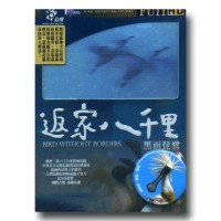 返家八千里  黑面琵鷺（家用版DVD）