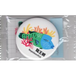 馬口鐵吸鐵-龍王鯛