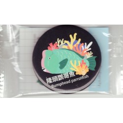 馬口鐵吸鐵-隆頭鸚哥魚