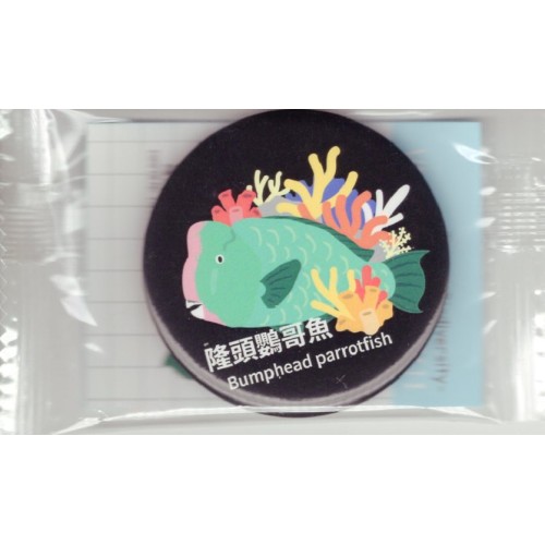 馬口鐵吸鐵-隆頭鸚哥魚