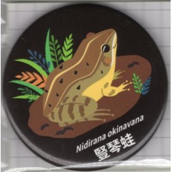 馬口鐵吸鐵-豎琴蛙