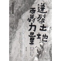 迸裂土地而出的力量：走過二十年，十二個九二一災後堅持至今的故事