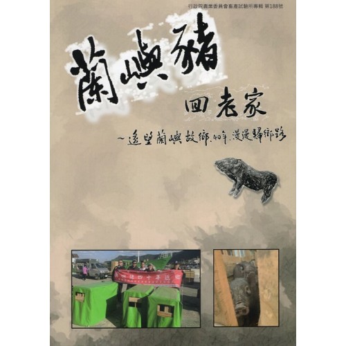 蘭嶼豬回老家～遙望蘭嶼故鄉.40年.漫漫歸鄉路