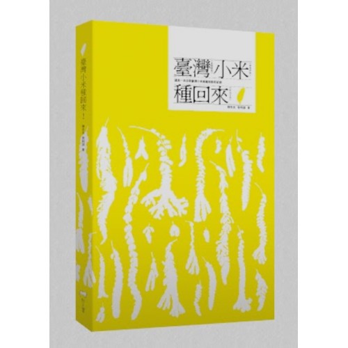 臺灣小米種回來！