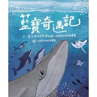 藍寶奇遇記