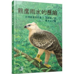 熊鷹雨水的歷險