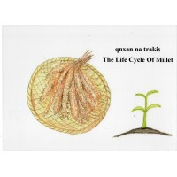 qnxan na trakis 小米的一生（賽考利克泰雅語、英語對照繪本）