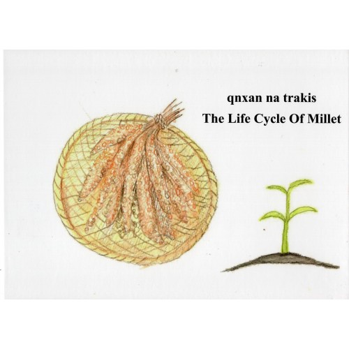 qnxan na trakis 小米的一生（賽考利克泰雅語、英語對照繪本）