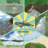 泳往向上！保力溪動物游洄家 / 國土綠網生態基石 (精裝繪本)