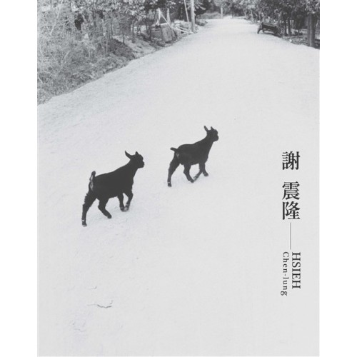 臺灣攝影家:謝震隆 (精裝) 臺灣攝影家:謝震隆 (精裝)
