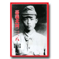 嘉義北回二二八