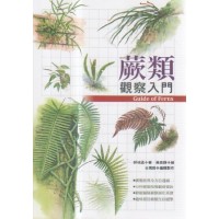 蕨類觀察入門