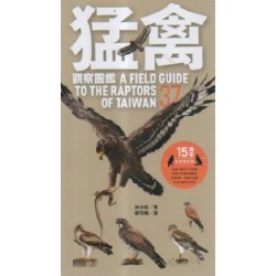 猛禽觀查圖鑑【全新增訂版】