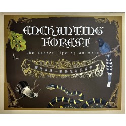 魔法森林:動物生命的秘密 (蛇和蜘蛛篇。昆蟲篇。神秘動物與產地篇) 魔法森林:動物生命的秘密 (蛇和蜘蛛篇。昆蟲篇。神秘動物與產地篇)