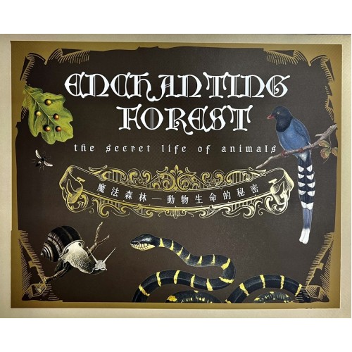 魔法森林：動物生命的秘密 (蛇和蜘蛛篇。昆蟲篇。神秘動物與產地篇)