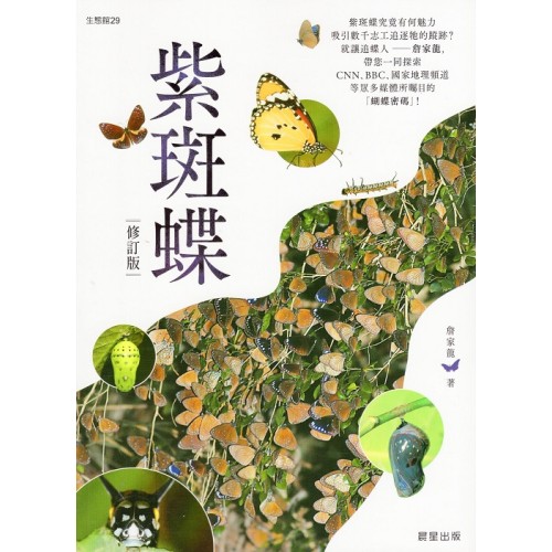 紫斑蝶【修訂版】