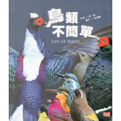 鳥類不簡單（新版）