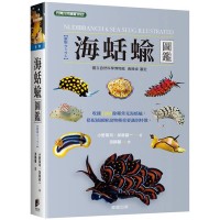海蛞蝓圖鑑