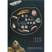 東沙藤壺及海蛞蝓圖鑑