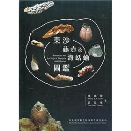 東沙藤壺及海蛞蝓圖鑑
