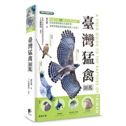 臺灣猛禽圖鑑