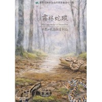 霧林蛇蹤：大雪山蛇類觀察筆記
