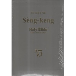 全民台語聖經--新舊約全書 (白話字全羅版)  灰