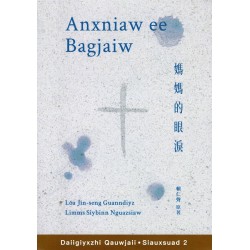 Daiigiyxzhi．Siauxsuad 2：Anxniaw ee Bagjaiw 媽媽的眼淚 (台語小說 .台語字版)