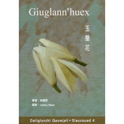 Daiigiyxzhi．Siauxsuad 4：Giuglann'huex 玉蘭花 (台語小說 .台語字版)